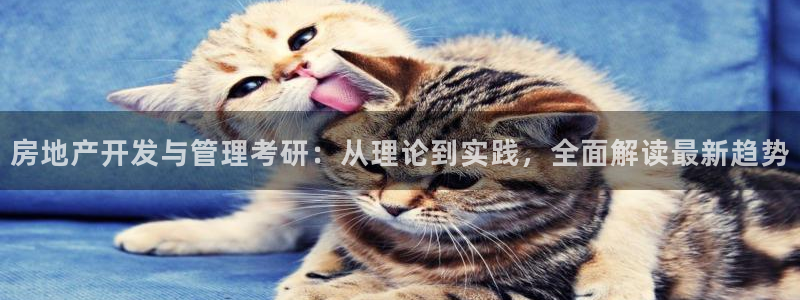 万向娱乐技术分享