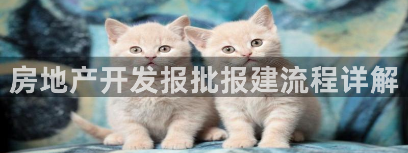 万向娱乐平台注册流程及费用