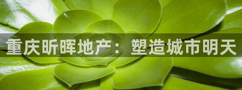 万向娱乐平台代理怎么样赚钱