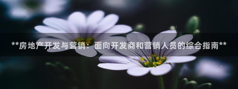 万向娱乐平台注册条件要求