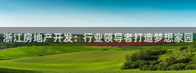 万象游戏代理