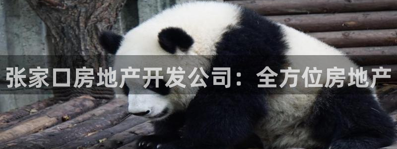 万向娱乐注册