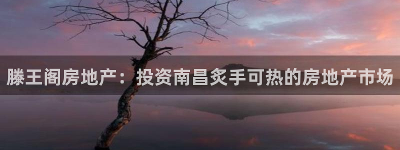 万向娱乐app下载官网