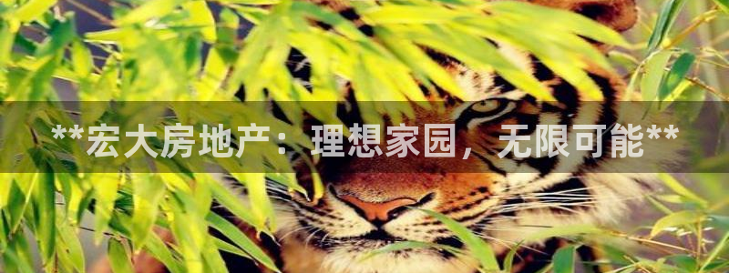 万向娱乐平台代理多少钱一个