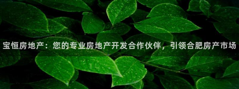 万向娱乐app下载