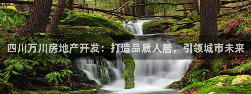 万向娱乐平台注册流程图