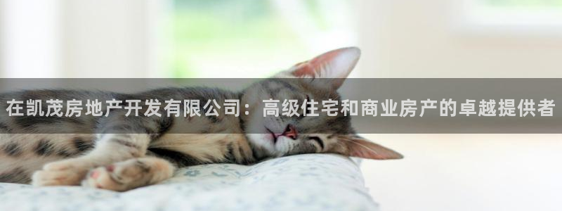 万向娱乐平台注册流程及费用