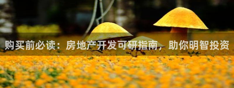万向娱乐平台注册条件要求