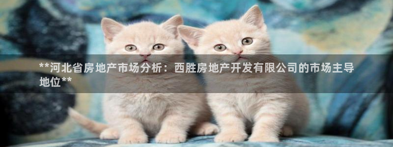 万向娱乐官网网址
