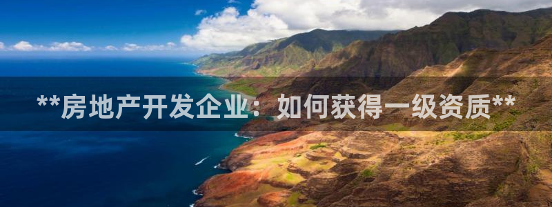 万向娱乐平台代理多少钱
