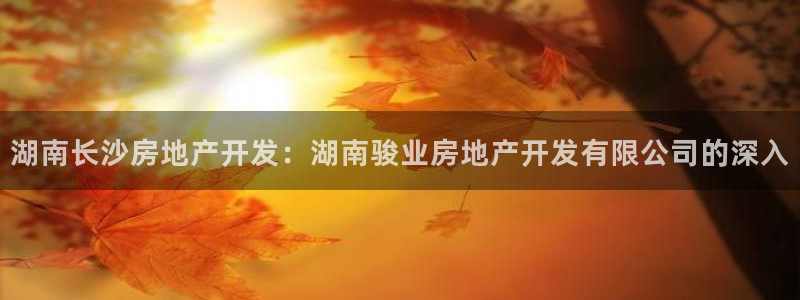 万向娱乐灯333OO