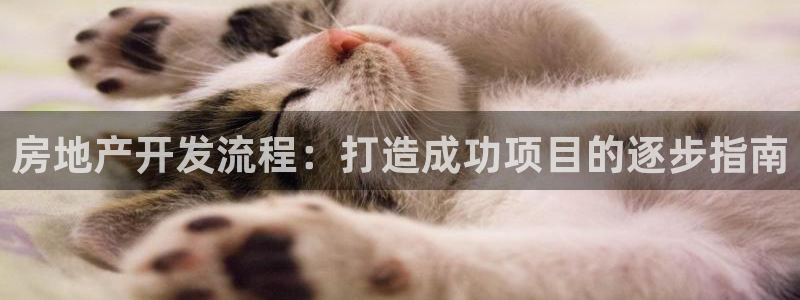 万向娱乐平台代理多少钱
