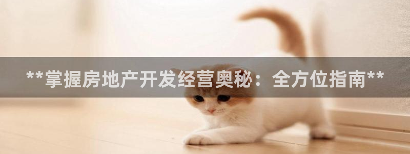 万象游戏代理