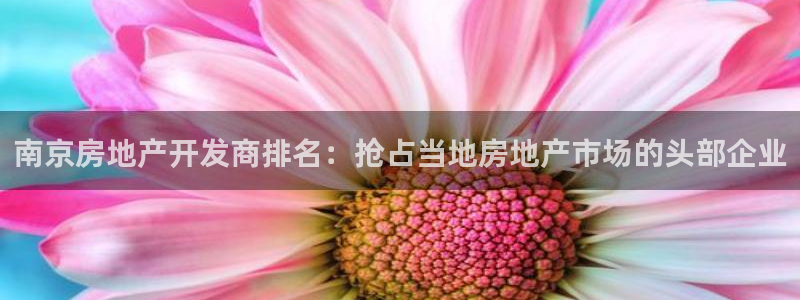 万象游戏代理