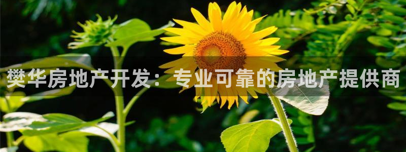 万向娱乐平台代理多少钱一年
