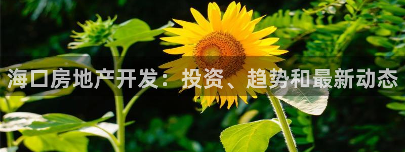 万向娱乐官网下载安装苹果