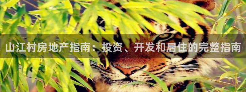 万向娱乐平台代理多少钱一年