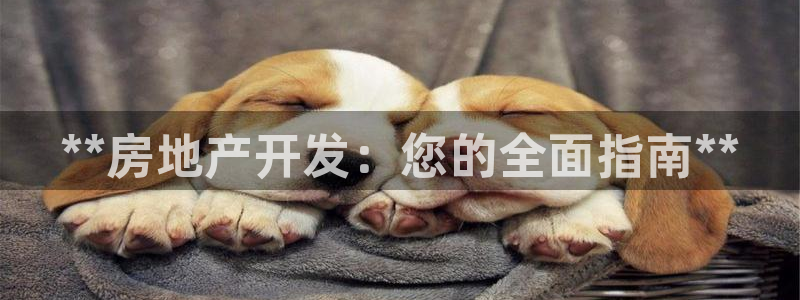 万向娱乐网址是什么
