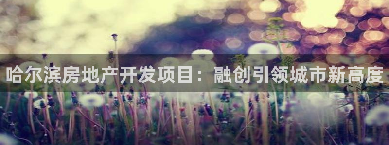 万向娱乐平台代理怎么样可靠吗