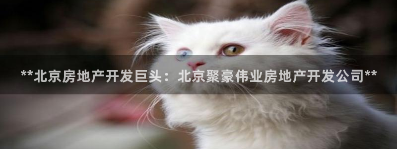 万向娱乐app下载安装