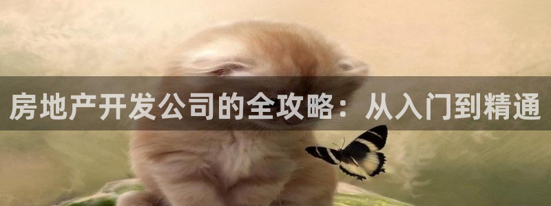 万象游戏代理