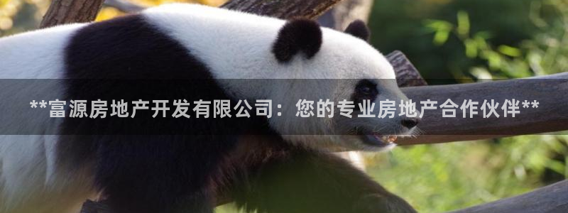 万向娱乐平台代理多少钱一个月