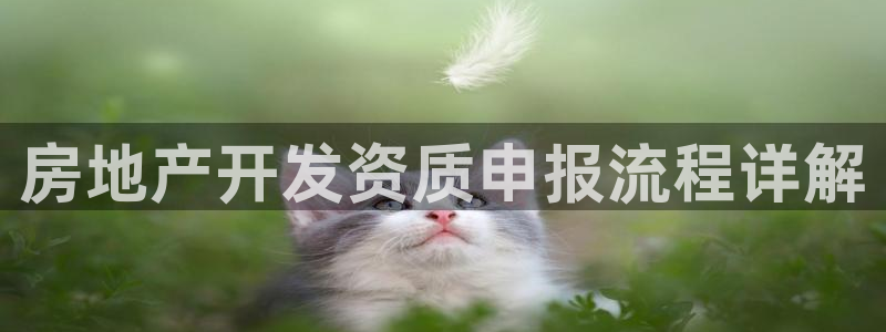 万向娱乐平台怎么下载