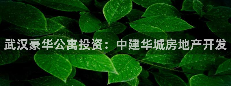 万向娱乐官网下载安装手机版