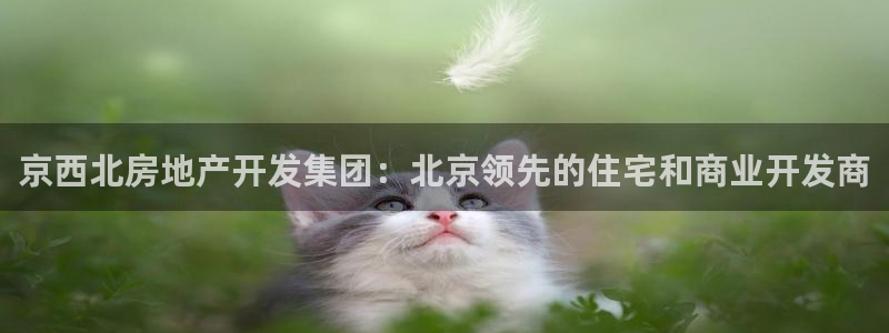 万向娱乐的494o3 主管