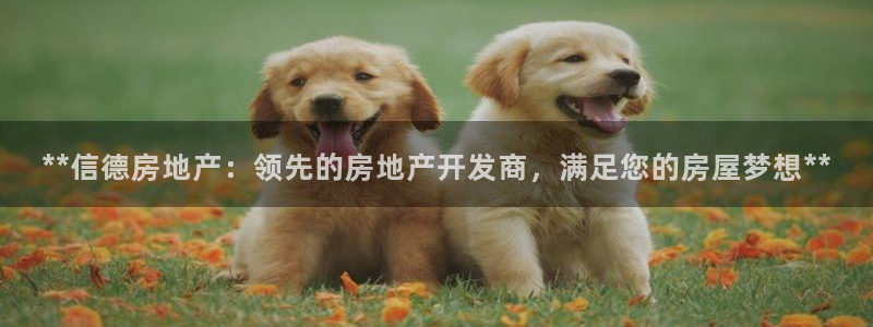 万向娱乐公司官网