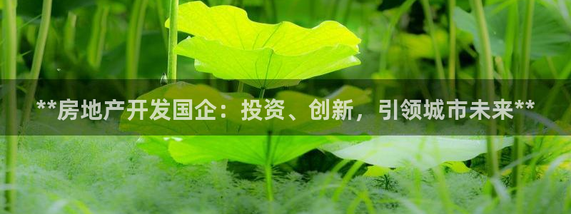 万向娱乐挂机软件