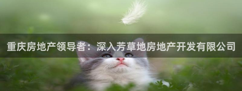 万向娱乐技术